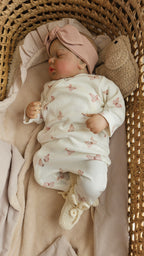 Boxpakje vlindertjes