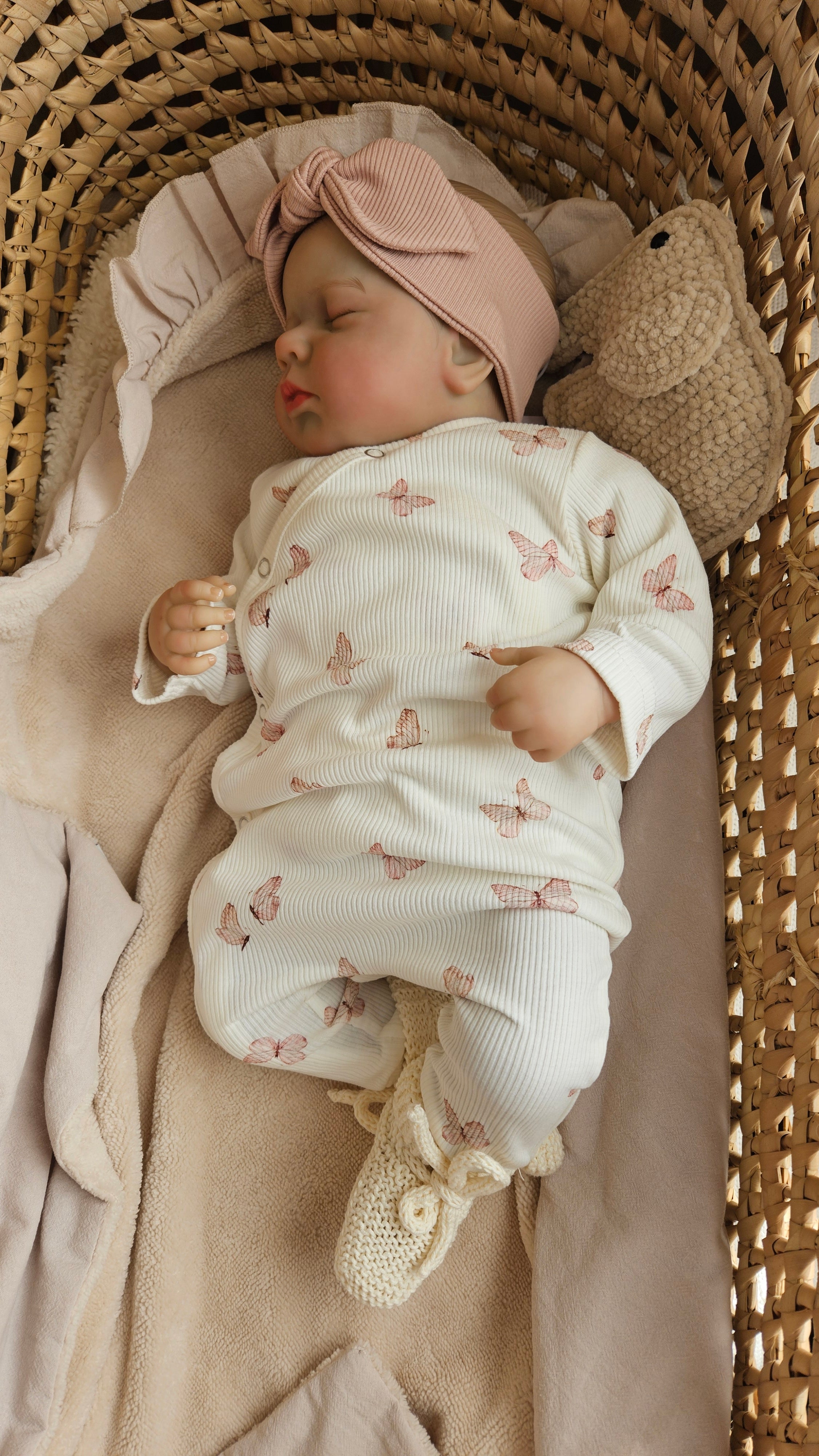 Boxpakje vlindertjes