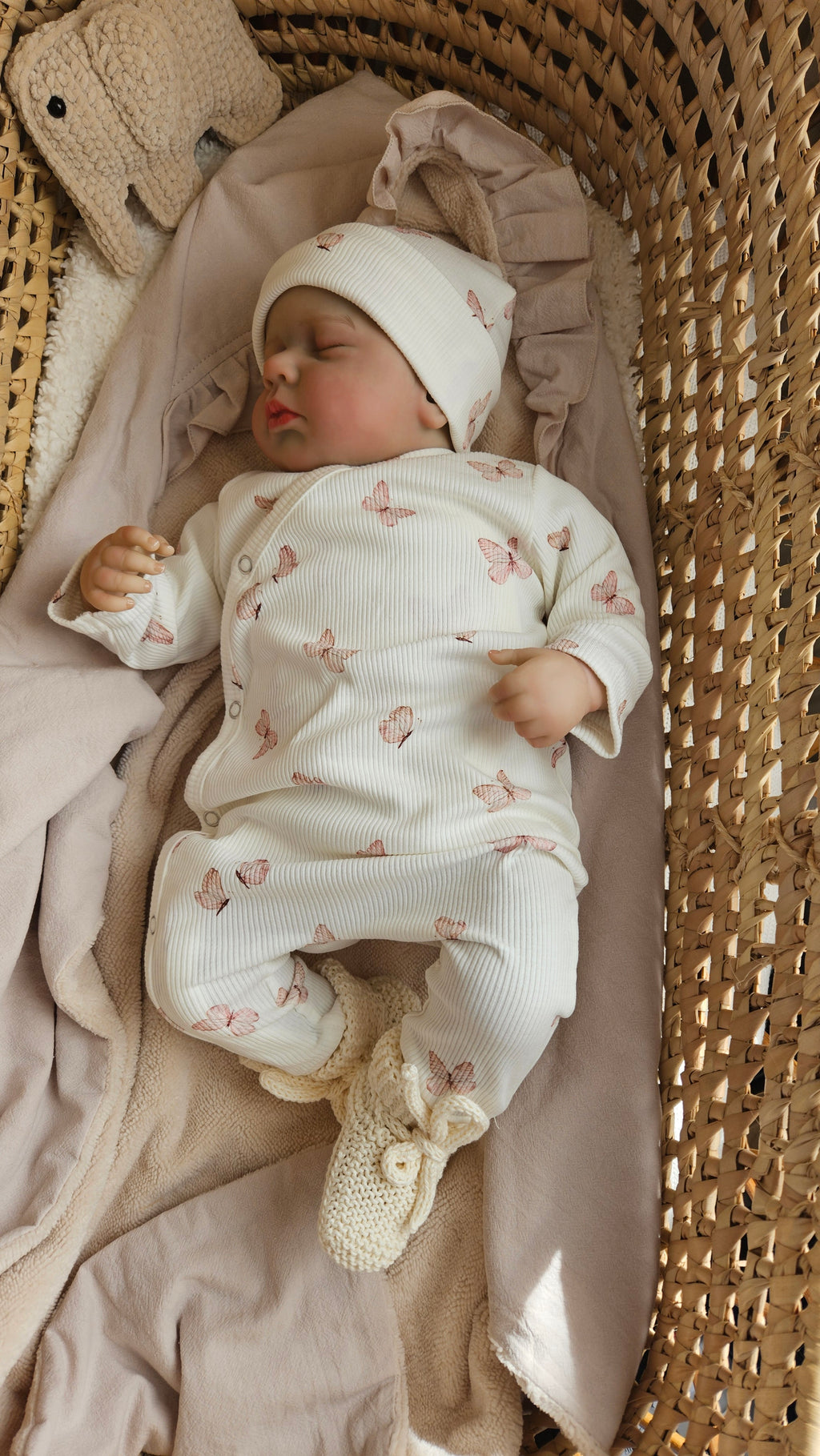 Boxpakje vlindertjes