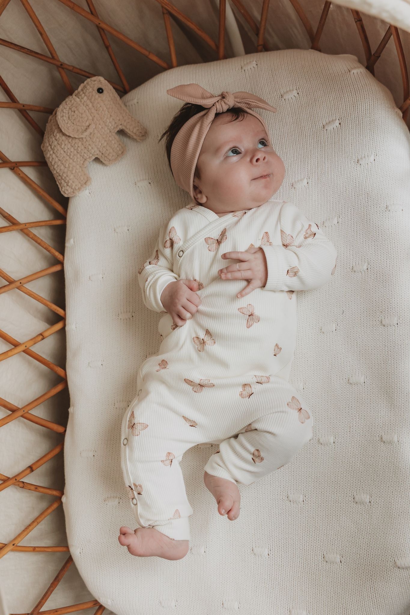 Boxpakje vlindertjes